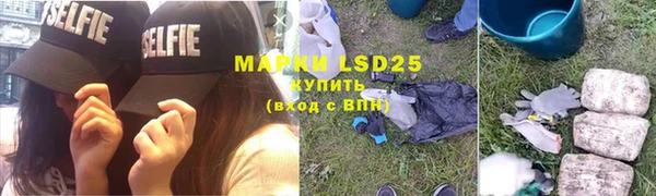 крисы Новодвинск